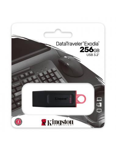 Kingston datatraveler dtx 256gb usb 3.2 gen1 negro