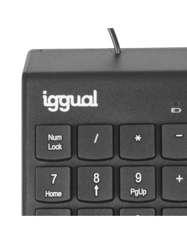 Iggual teclado num駻ico usb ck-num-19t negro